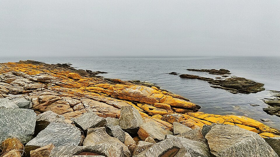 Yellow rocks on the Baltic.jpg